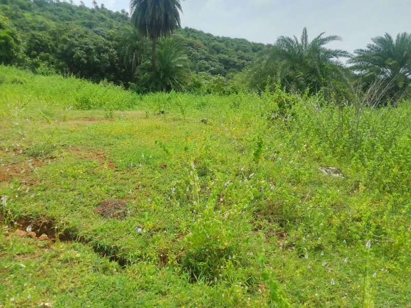 Sea View Land For Sale In Harnei
