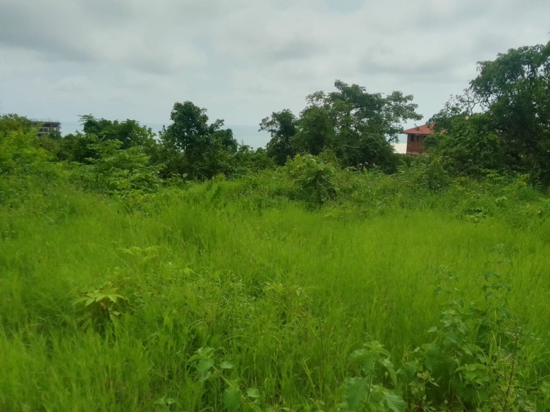 Sea View Land For Sale In Harnei Beach
