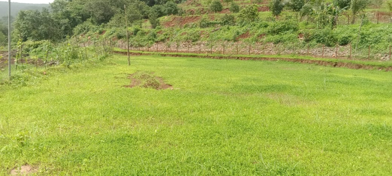 2.4 Acre Agricultural/Farm Land for Sale in Mandangad, Ratnagiri