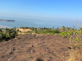 Commercial Lands /Inst. Land for Sale in Dapoli, Ratnagiri (8 Guntha)