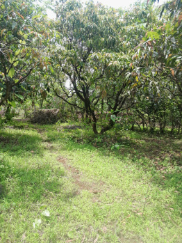 Residential Plot for Sale in Mandangad, Ratnagiri (3 Acre)