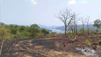 Residential Plot for Sale in Mahad, Raigad (4 Acre)