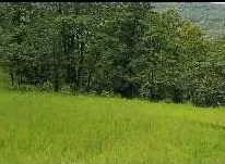 58 Acre Agricultural/Farm Land for Sale in Mahad, Raigad