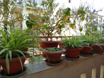 3 BHK Flats & Apartments For Sale In Boring Road Boring Road, Patna (1450 Sq.ft.)