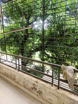 5 BHK Flats & Apartments For Sale In Boring Road, Patna (2500 Sq.ft.)