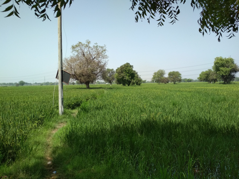 15 Bigha Industrial Land / Plot for Sale in Hariyala, Kheda
