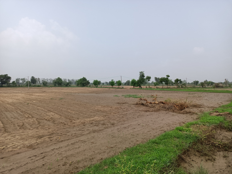 717 Sq. Yards Commercial Lands /Inst. Land for Sale in Bareja, Ahmedabad