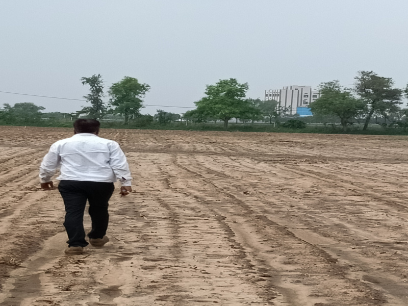 717 Sq. Yards Commercial Lands /Inst. Land for Sale in Bareja, Ahmedabad