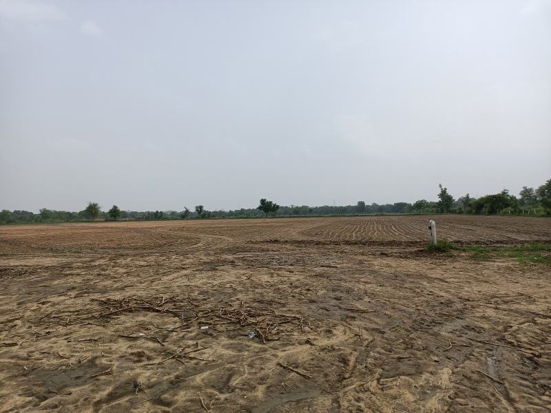 818 Sq. Yards Industrial Land / Plot for Sale in S P Ring Road, Ahmedabad