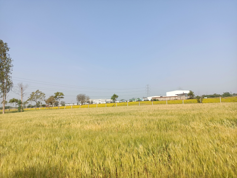 1100 Sq. Yards Industrial Land / Plot for Sale in S P Ring Road, Ahmedabad