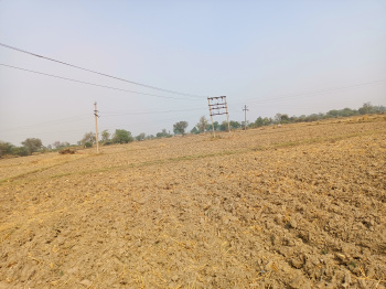 Property for sale in Hariyala, Kheda