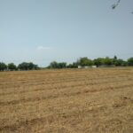 145 Bigha Agricultural/Farm Land for Sale in Dholka, Ahmedabad