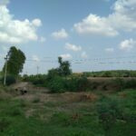 6 Bigha Commercial Lands /Inst. Land for Sale in Dholka, Ahmedabad