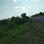 14 Bigha Agricultural/Farm Land for Sale in Dholka, Ahmedabad