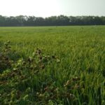 Property for sale in NH 8, Kheda
