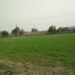 4.5 Bigha Agricultural/Farm Land for Sale in NH 8, Kheda