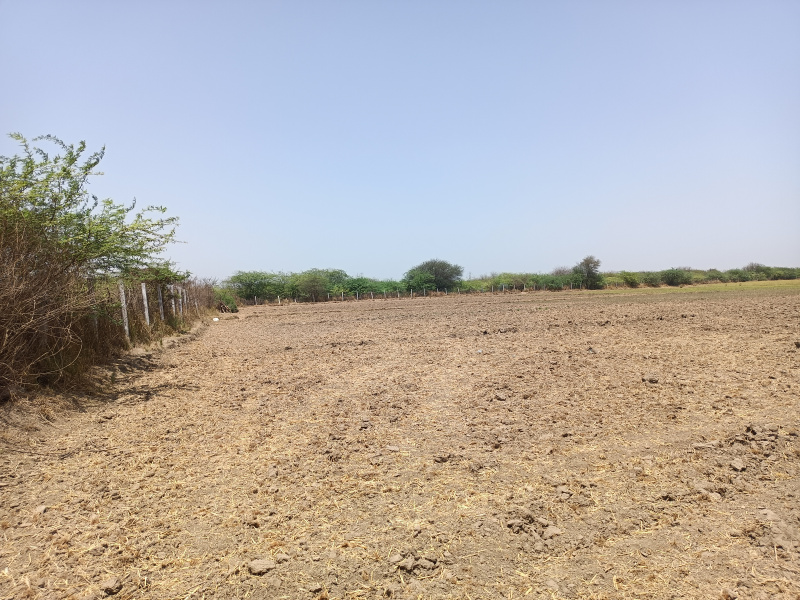 6 Bigha Commercial Lands /Inst. Land for Sale in Gujarat