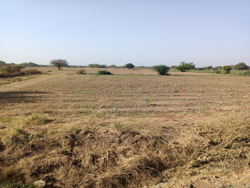 6 Bigha Commercial Lands /Inst. Land for Sale in Gujarat