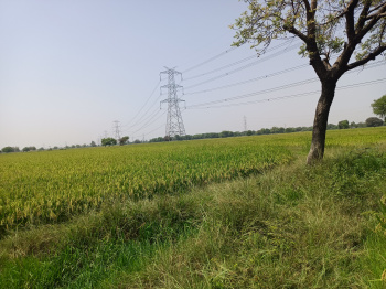 Property for sale in Bareja, Ahmedabad