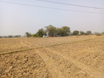 8000 Sq. Yards Residential Plot for Sale in Bopal, Ahmedabad