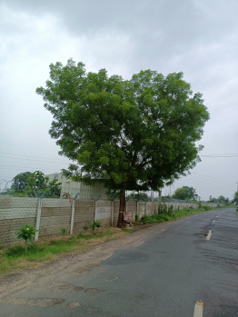 Property for sale in Rancharda, Ahmedabad