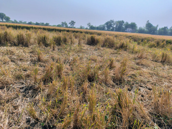 Property for sale in Naika, Kheda