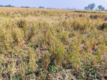 Property for sale in Naika, Kheda