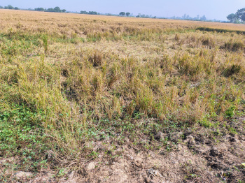 Agricultural land for sale Near Naika