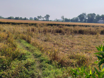 Property for sale in Naika, Kheda