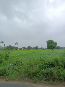 Property for sale in Kasindra, Ahmedabad