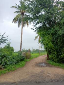 LAND FOR SALE IN KASINDRA SP RIND ROAD 1.5 BIGHA