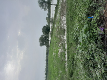 AGRICULTURE LAND FOR SALE IN KHEDA NAIKA