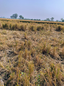 Property for sale in Naika, Kheda