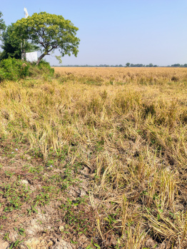 Agricultural/Farm Land for Sale in Naika, Kheda (52 Bigha)