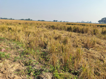 Property for sale in Naika, Kheda