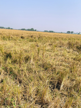 Property for sale in Naika, Kheda