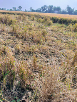 Property for sale in Jetalpur, Ahmedabad