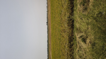 AGRICULTURAL LAND MATAR LIMBASI