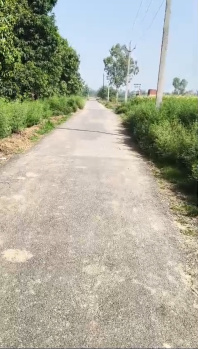 Agricultural/Farm Land for Sale in Garhmukteshwar, Hapur (9 Bigha)