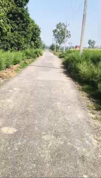 Agricultural/Farm Land For Sale In Garhmukteshwar, Hapur (9 Bigha)