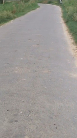 Agricultural/Farm Land For Sale In Garhmukteshwar, Hapur (132 Bigha)