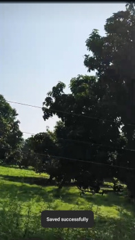 Agricultural/Farm Land for Sale in Hasanpur, Amroha (14 Bigha)