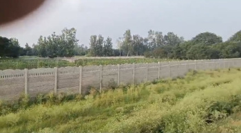 Agricultural/Farm Land for Sale in Garhmukteshwar, Hapur (7 Bigha)