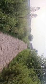 Agricultural/Farm Land for Sale in Garhmukteshwar, Hapur (2 Bigha)