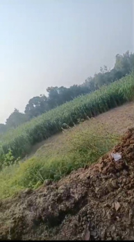 Agricultural/Farm Land for Sale in Garhmukteshwar, Hapur (3 Bigha)