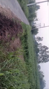 Agricultural/Farm Land for Sale in Garhmukteshwar, Hapur (6 Bigha)