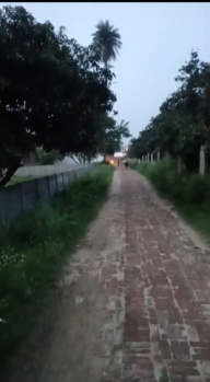 Agricultural/Farm Land for Sale in Garhmukteshwar, Hapur (3 Bigha)