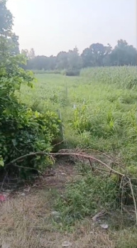 Agricultural/Farm Land for Sale in Garhmukteshwar, Hapur (3 Bigha)