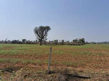 Mokhampura - Bichoon Road, 4 Bigha Demand Rs.1.10 Cr Per Bigha