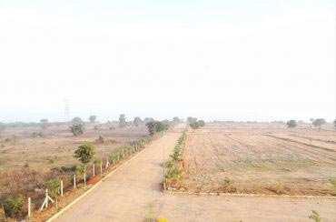 20 Bigha Commercial Land for Sale@Ranoli